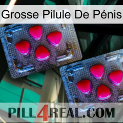 Grosse Pilule De Pénis 14